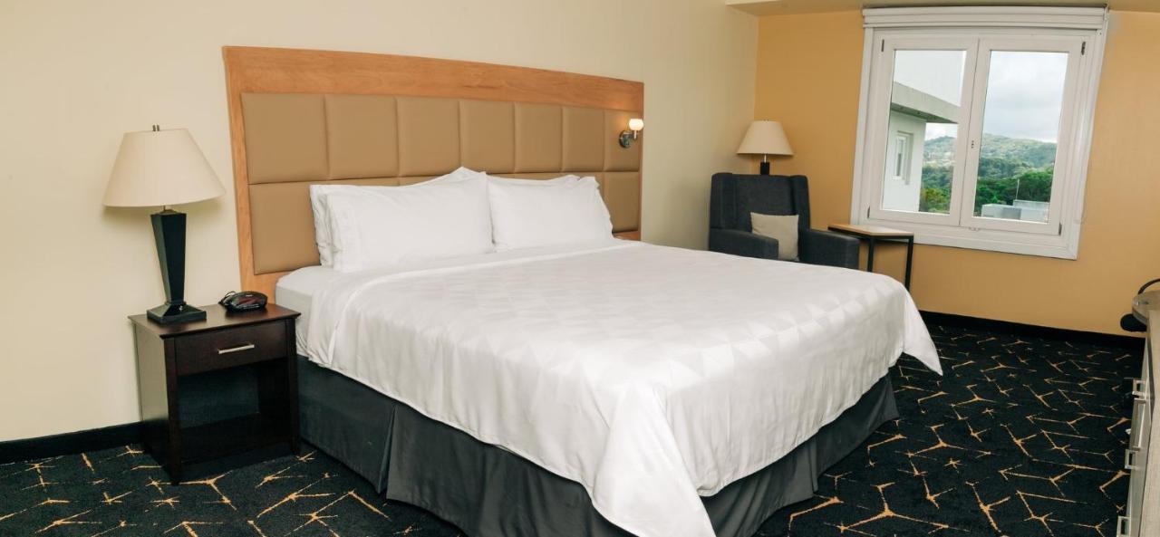 Holiday Inn San Salvador By Ihg Экстерьер фото